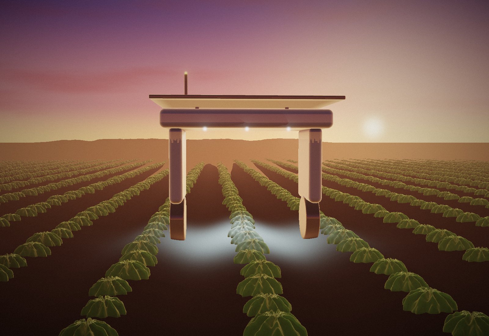 A weeding robot straddling rows of lettuce at sunset